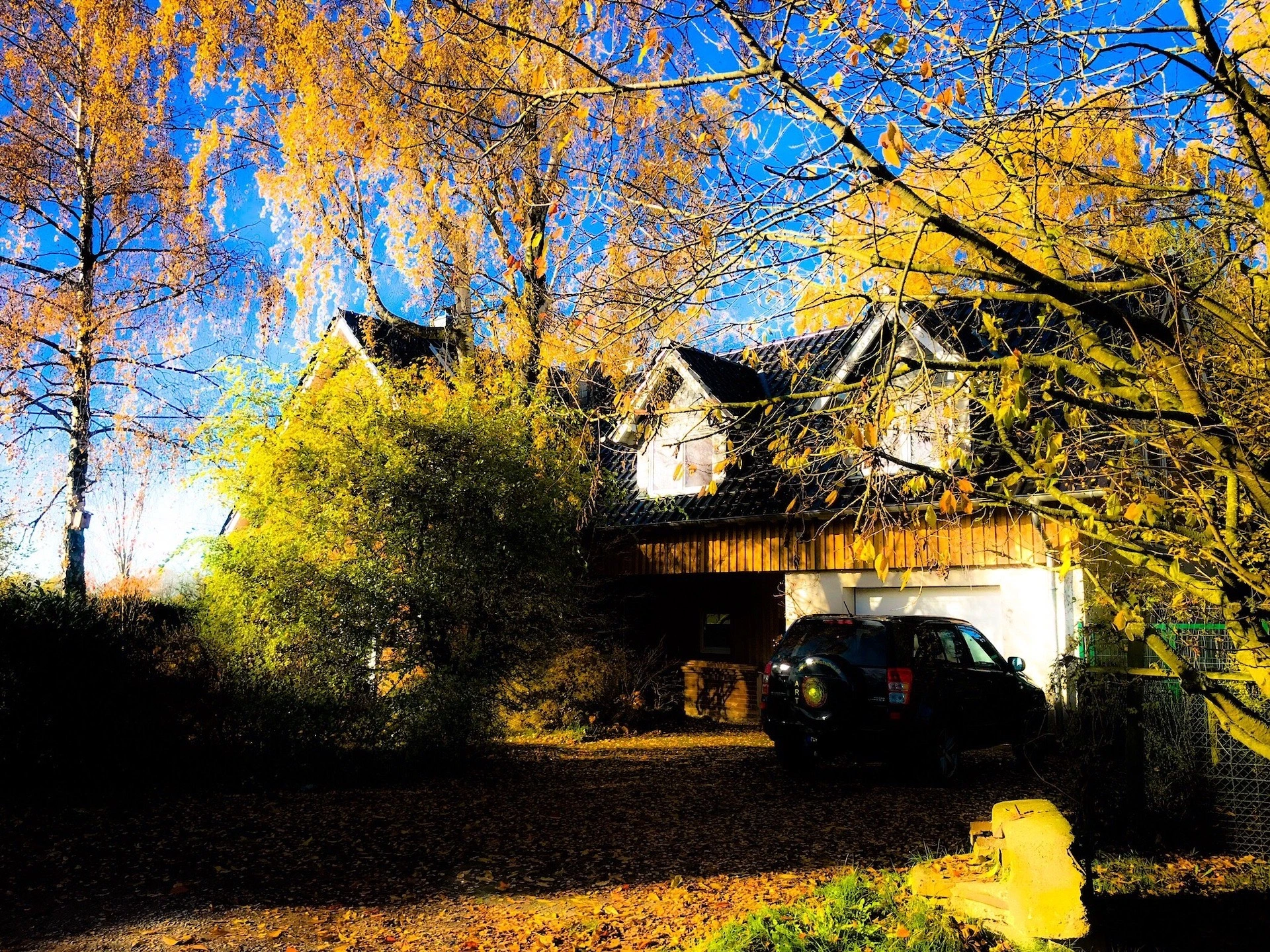 Atelier Iris Weissschuh Sonsbeck