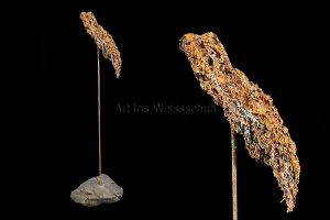 Vogelfrei II. by Iris Weissschuh 