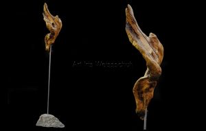 Frauenrechte I. by Iris Weissschuh 