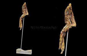 Frauenrechte III. by Iris Weissschuh 